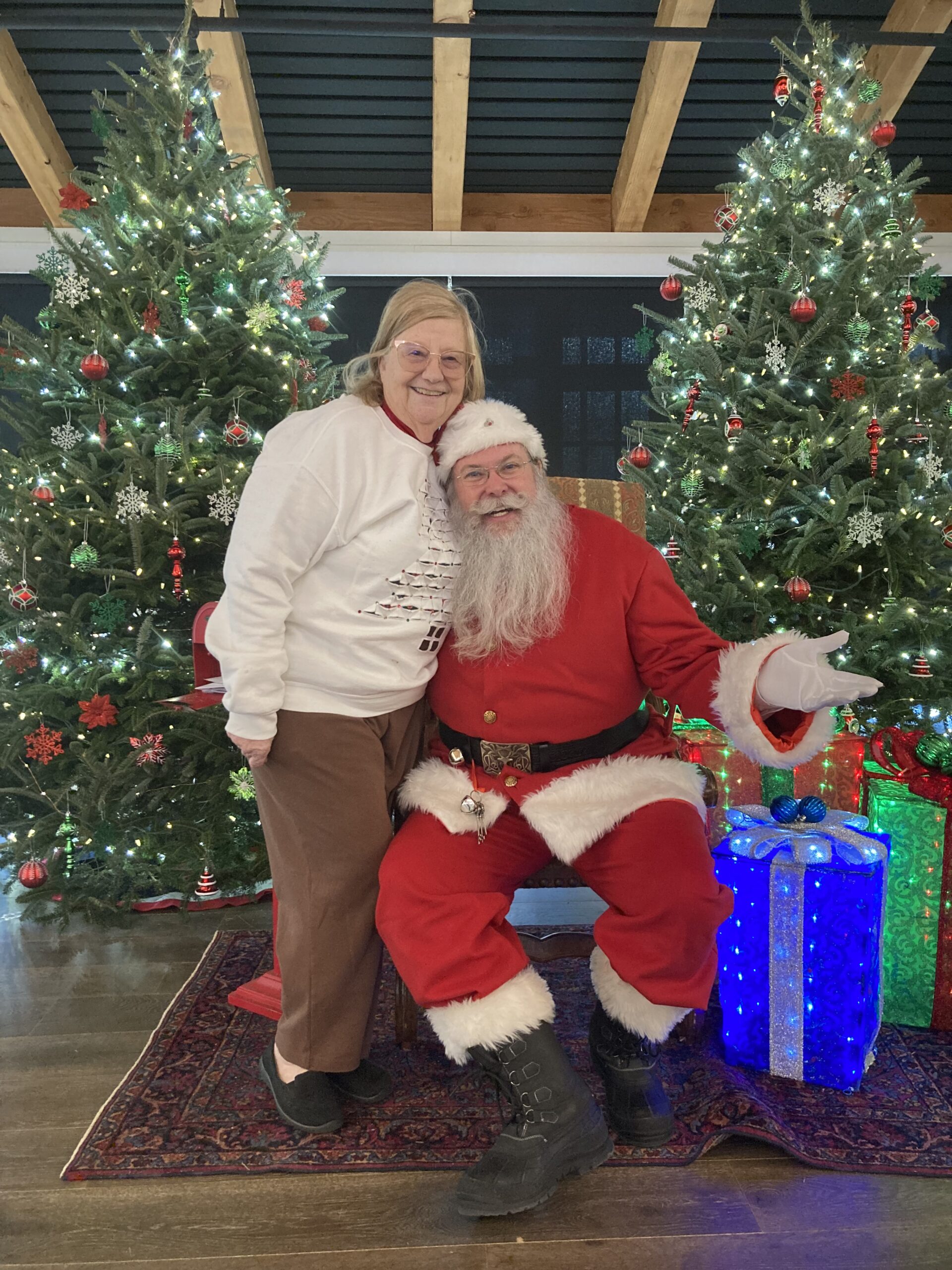 visit-with-santa-the-village-green-of-cashiers